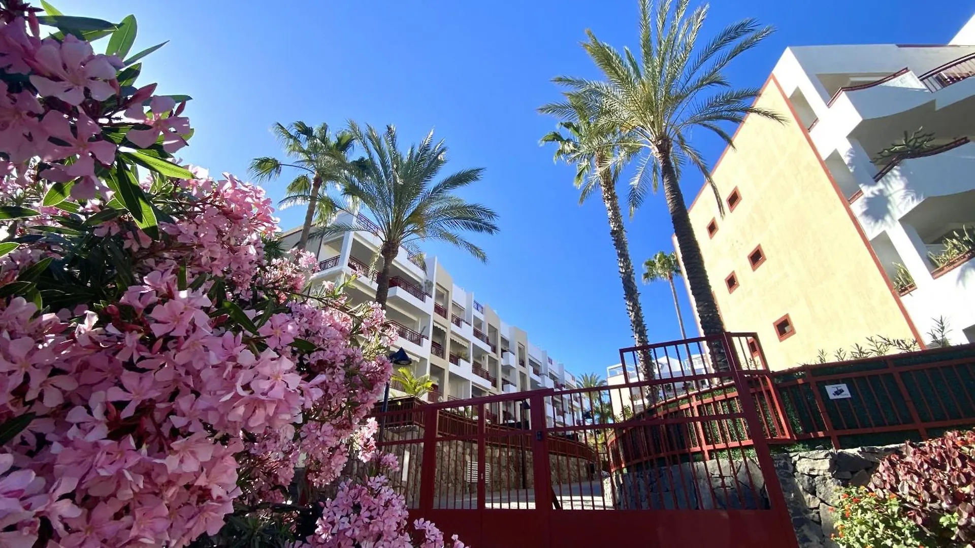 Palmmar Balandros Deluxe By Deihu Experiences Lägenhet